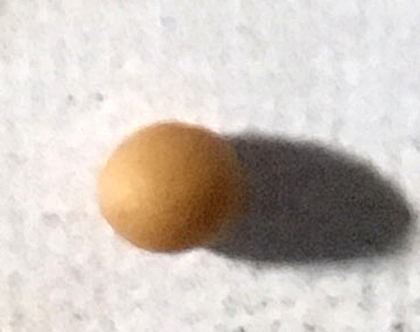 Image of a mustard seed