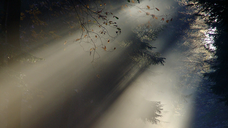 sunbeam blinding 750x422