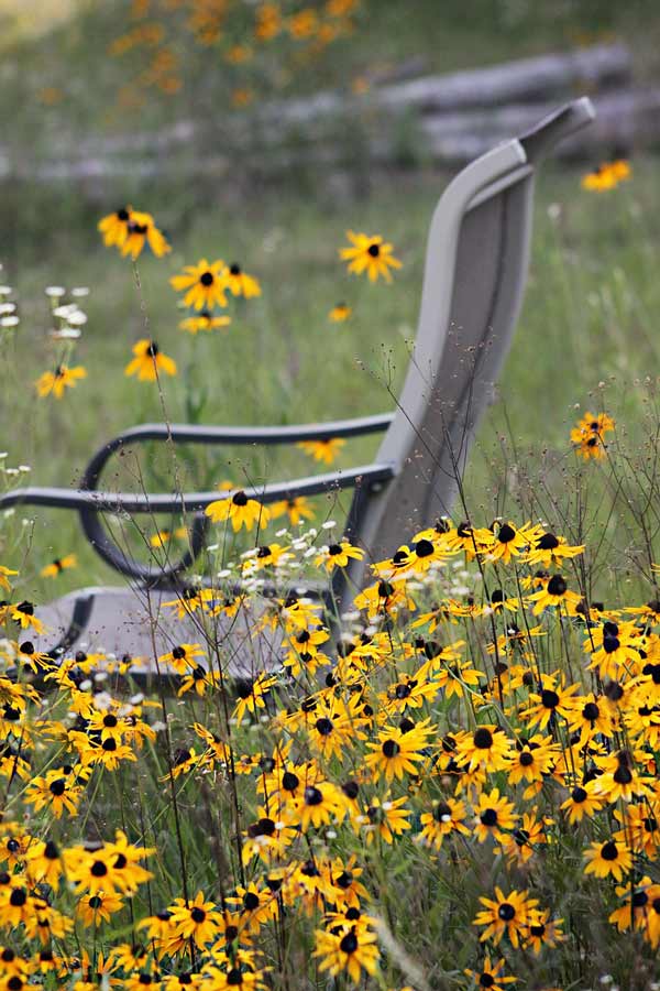 wildflowers and chair 600x900