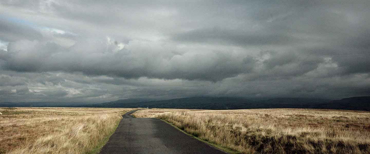 Picture of a long road disappearing into the distance with wheat fields either side