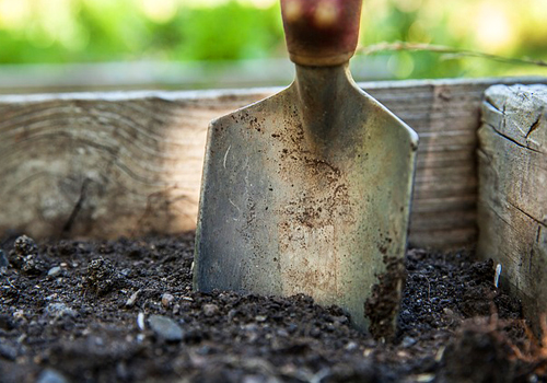 Garden trowel 500x350